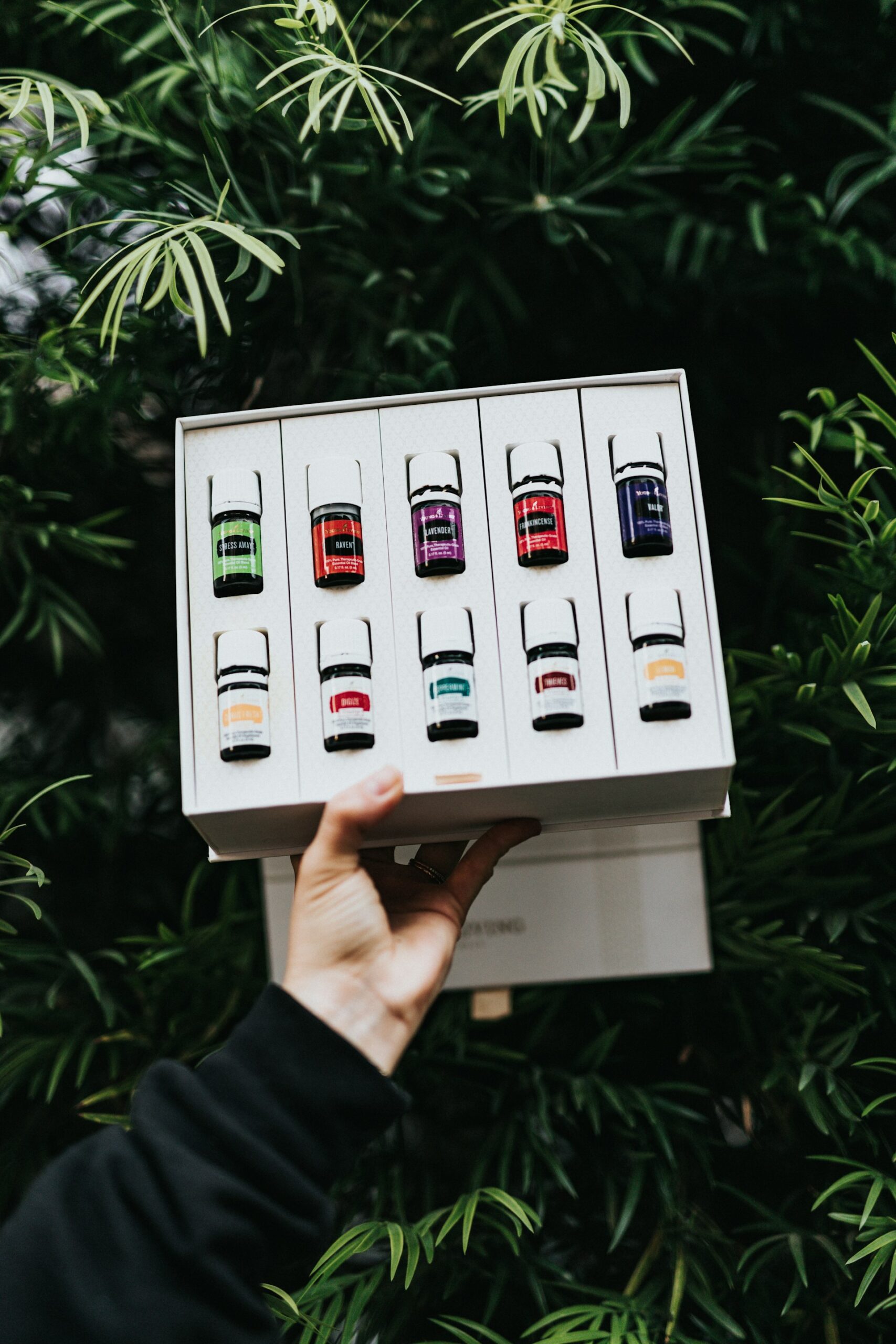 Osoba držící kočku s nasazeným ochranným límcem